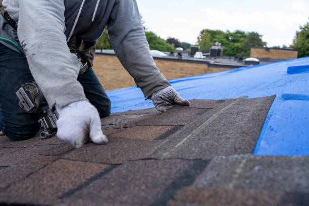 Roof Gutter Cleaning in Kahuku, HI