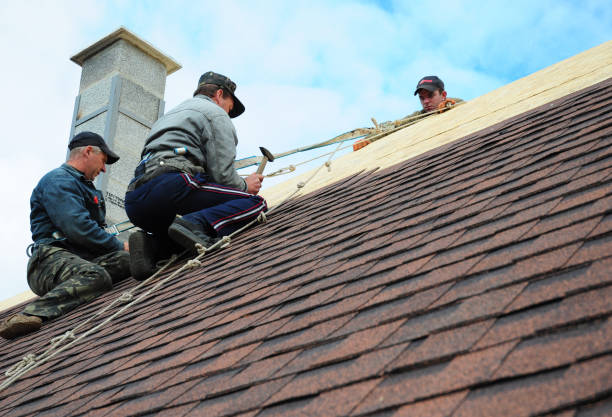 Best Storm Damage Roof Repair  in Kahuku, HI